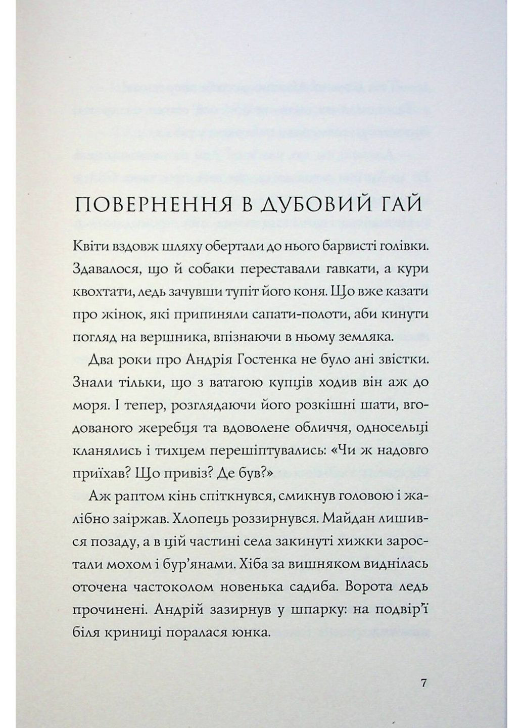 Книга Витязь и Вирлица / Наталья Довгопол (на украинском) Жорж (322122000)