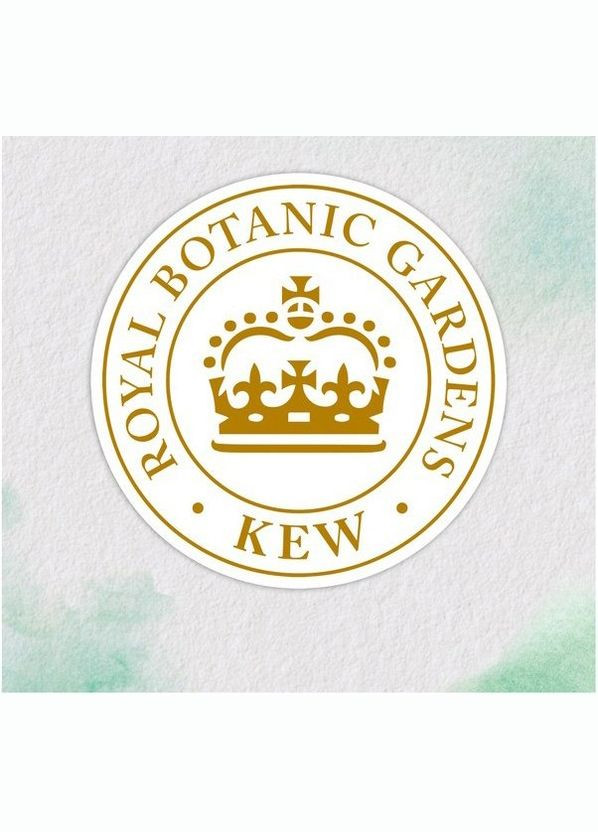 Шампунь Восстановление Аргановое масло, 350 мл HERBAL ESSENCES 8700216211345 (328398638)