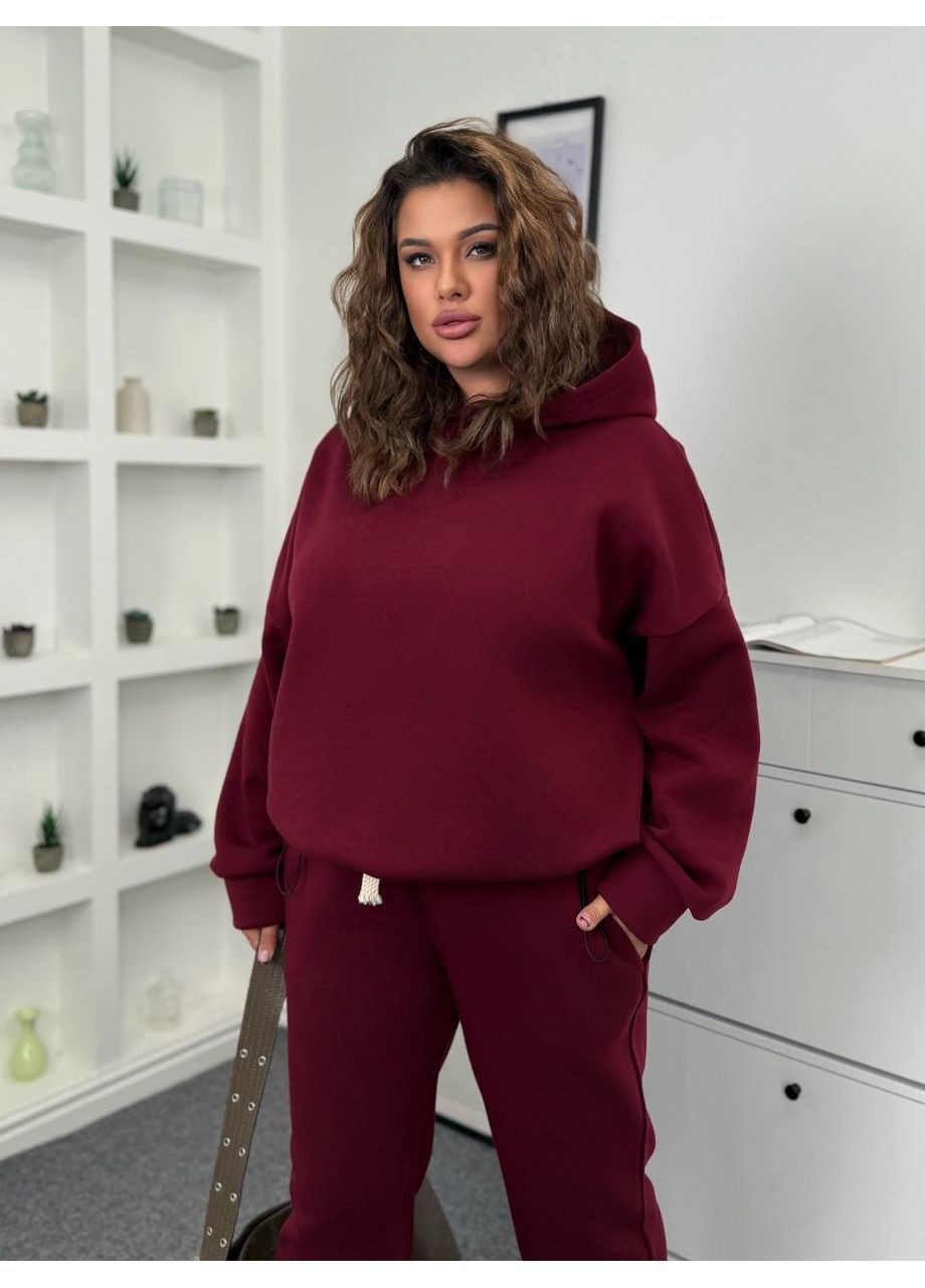 Стильний теплий костюм із худі та штанами-джогерами No Brand (366018285)