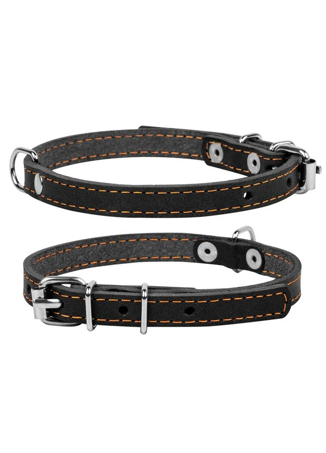 Нашийник " одинарний (ширина 12мм, довжина 24-32см) чорний Collar (374417681)