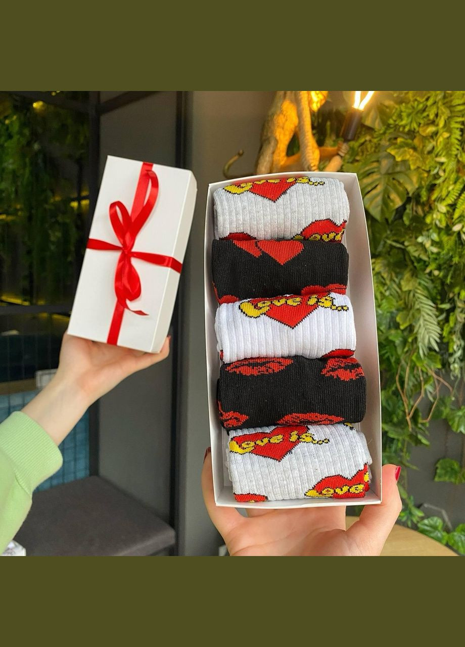 Комбіновані набір жіночих шкарпеток 36-41 5 пар у подарунковій коробці Vakko (308683632)