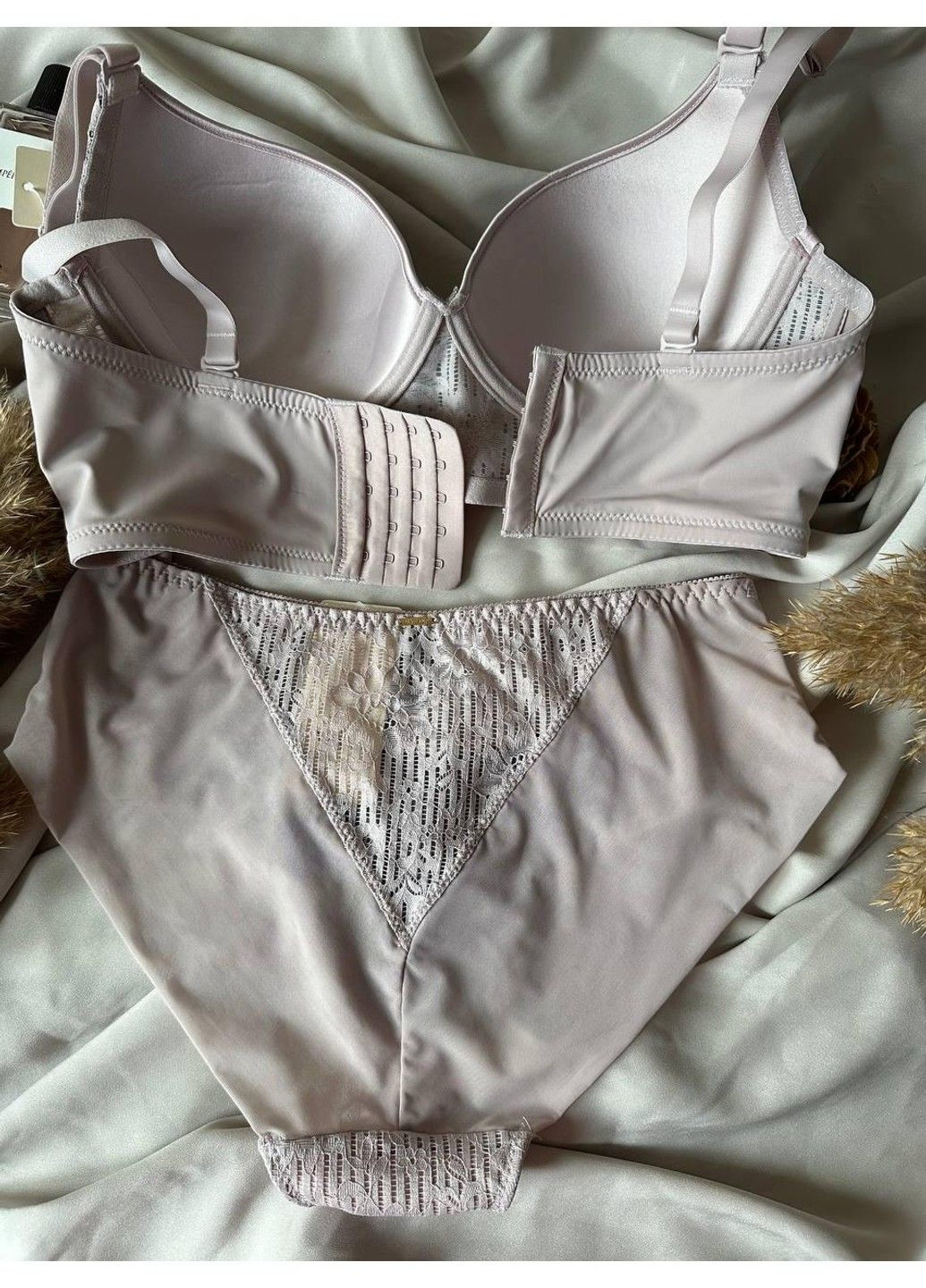 Пудровый комплект бюстгальтер с трусиками слипы 8316d пудровый Weiyesi