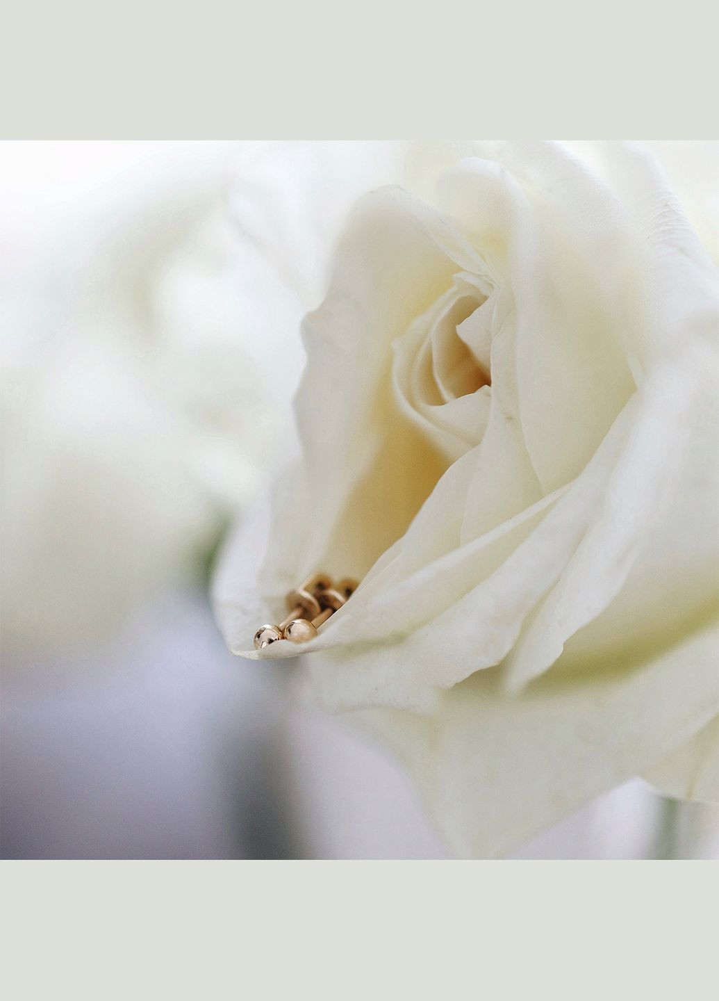 Серьги - пусеты Шарики в желтом золоте (0.4 см) с07322 Oniks (264025106)