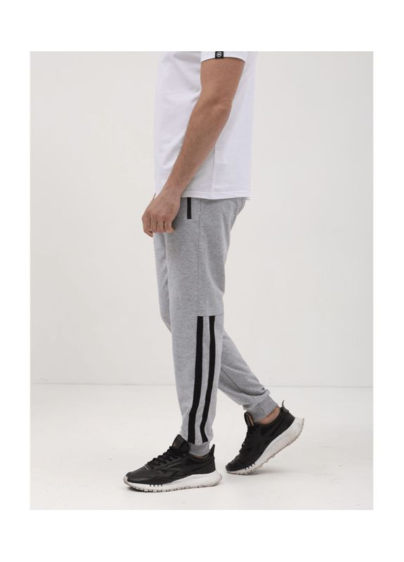 Серые демисезонные зауженные брюки Hector