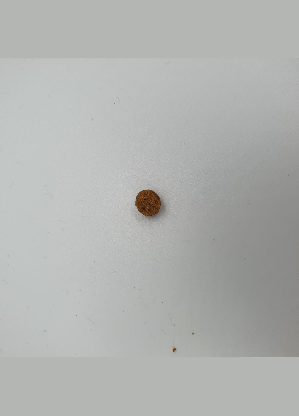 Сухий корм для цуценят малих порід курка Science Plan Puppy Small & Miniature Chicken 6 кг 605527 HILLS (266274209)