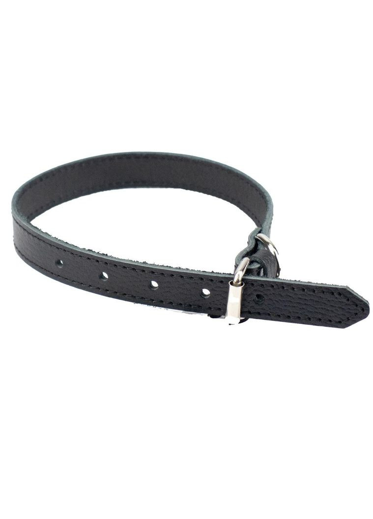 Нашийник з натуральної ремінної шкіри для собак 20006-1 20 мм х 350-450 мм, чорний, 317039 Agilite (292131795)