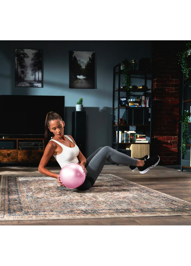 Фитбол 25см розовый Hop-Sport (361952940)