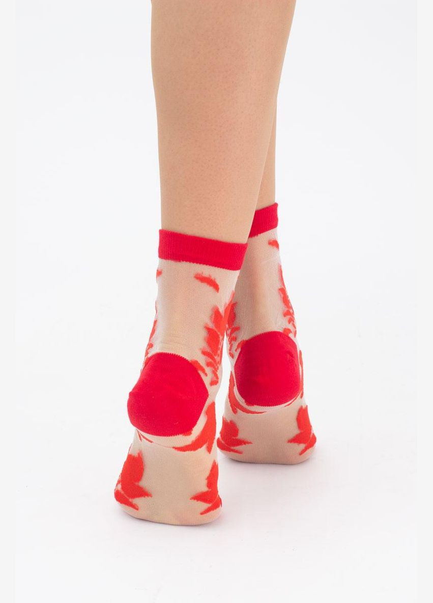 Шкарпетки жіночі класичні прозорі червоні, 39-40 Giulia ws2 cristal 043 (289869440)