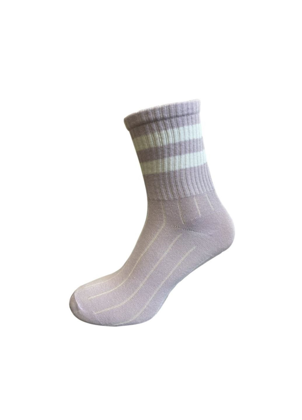 Лиловые набор (3 шт) женских носков Siela (302517153)