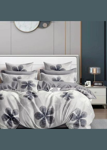 Комплект постельного белья полуторный ранфорс 24269 100% хлопок Viluta (334303264)