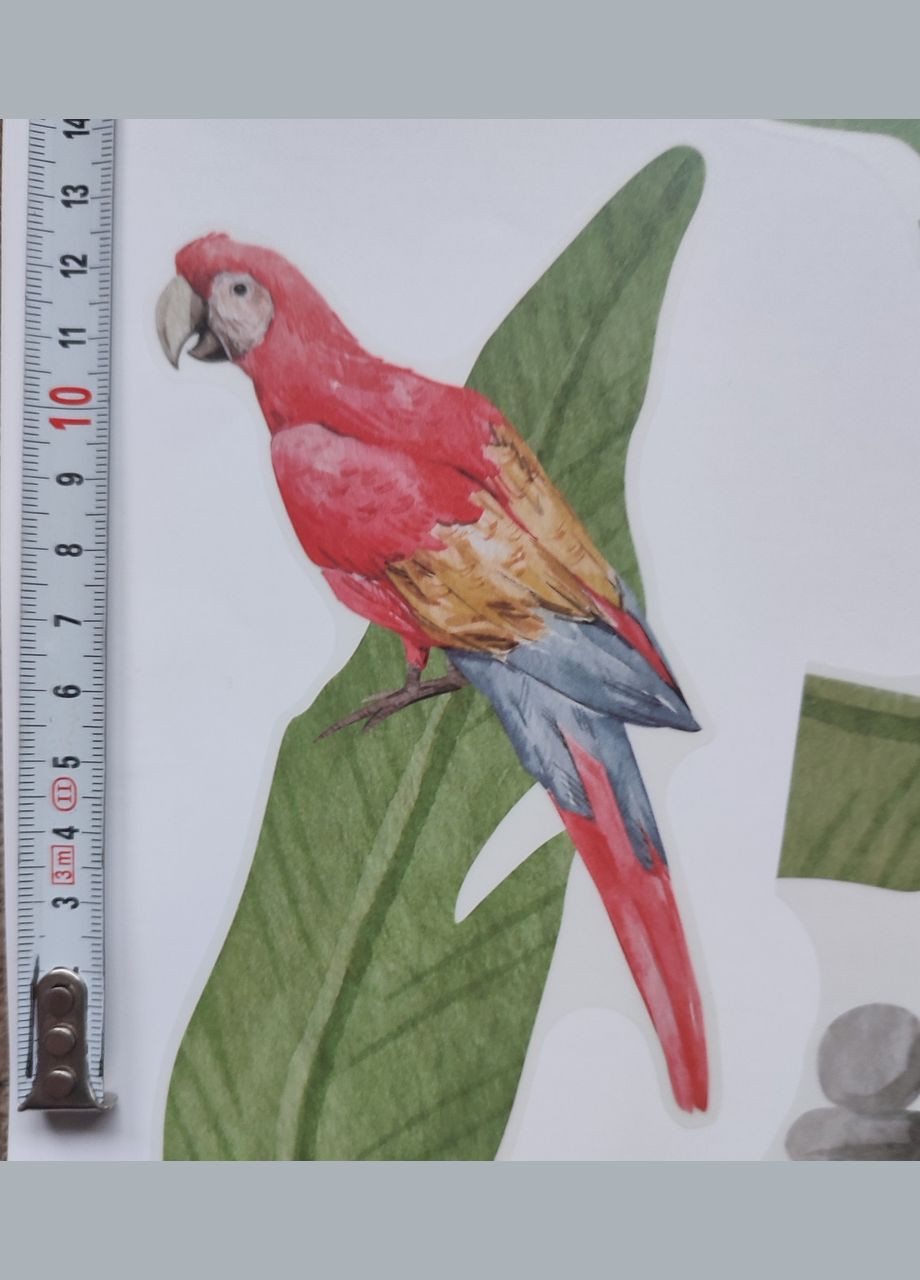 Виниловые наклейки на стену Звери и птицы в лесу (лист 60 х 100 см) Б475-3 No Brand (302242719)