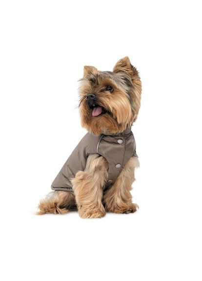 Жилет Hardy для собак размер Pet Fashion (333141067)