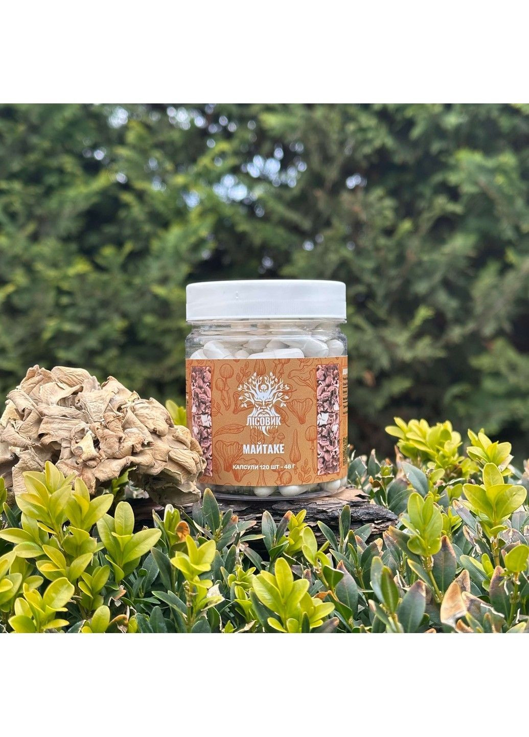 Гриб Майтаке капсули 60 шт Лісовик (364210503)