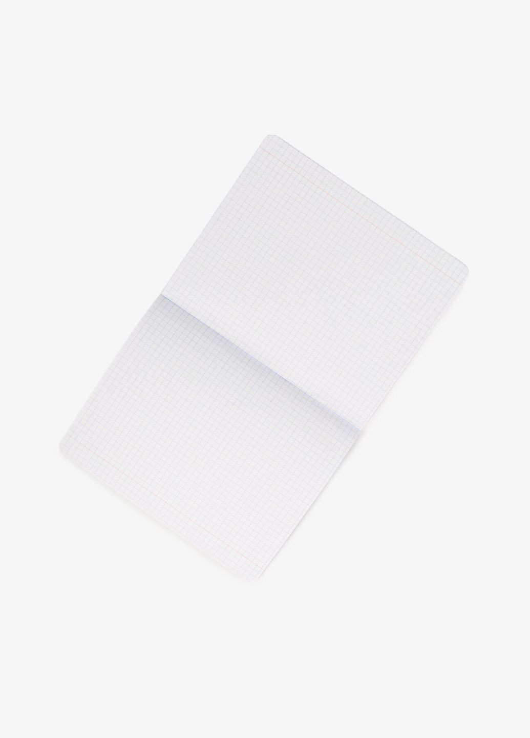 Зошит шкільний BOTANIQUE 339423 12 аркушів shop (5902277339423) No Brand (362745562)