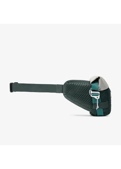 Сумка унісекс Acg Aysen Fanny Pack (3L) Green/Grey DV4051-338 MISC Nike (371781422)