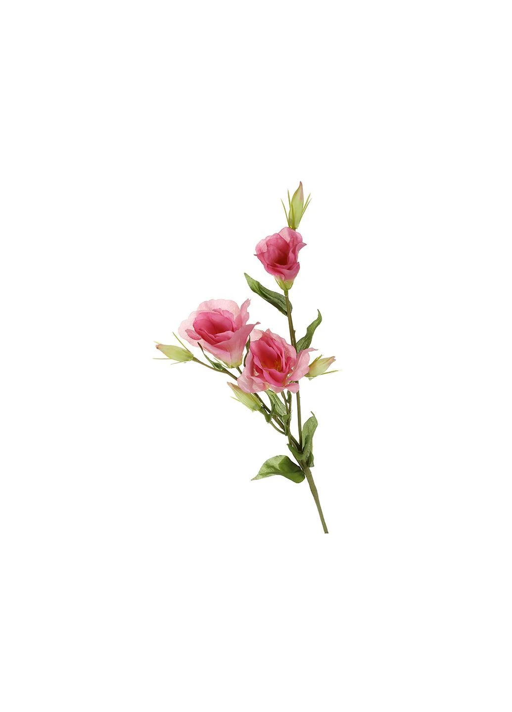 Ветка эустомы H78см розовая Home Decor (378980263)