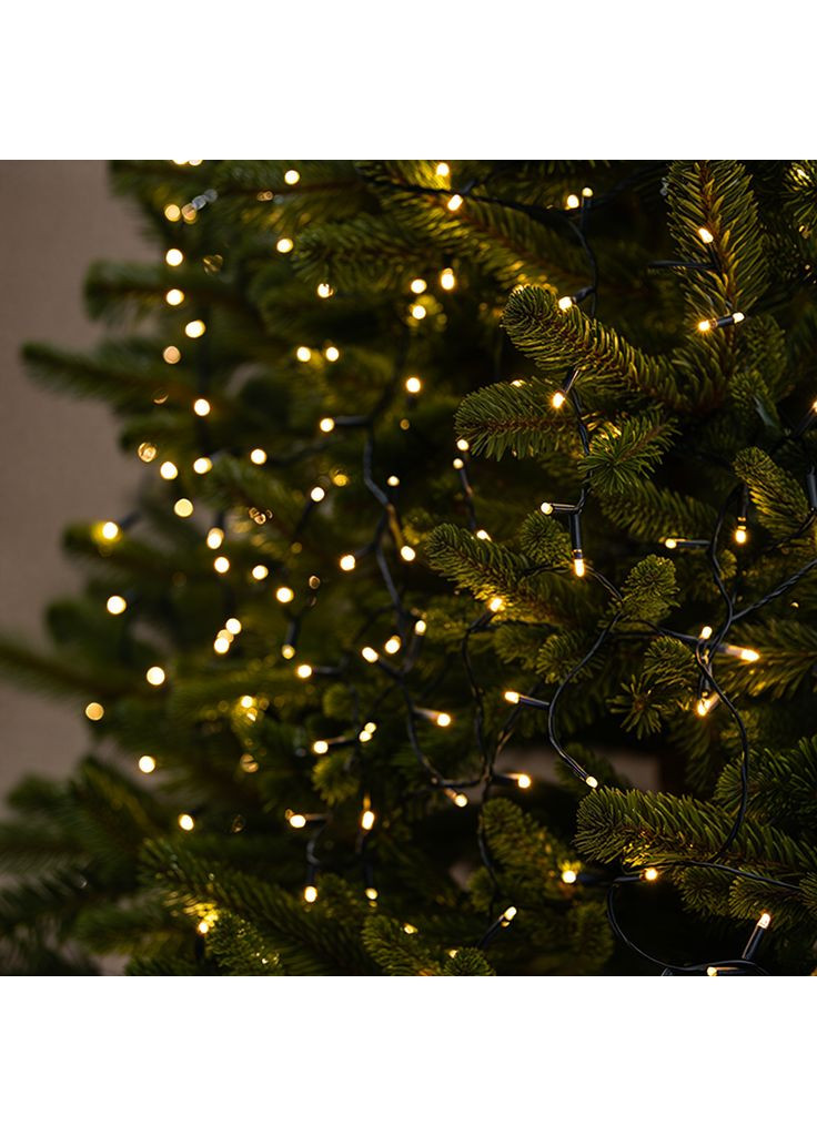 Гирлянда Рождественская фея уличная 100 (м) 1000 LED черный провод Желтый CF1000L100MBY Jooki (366037815)