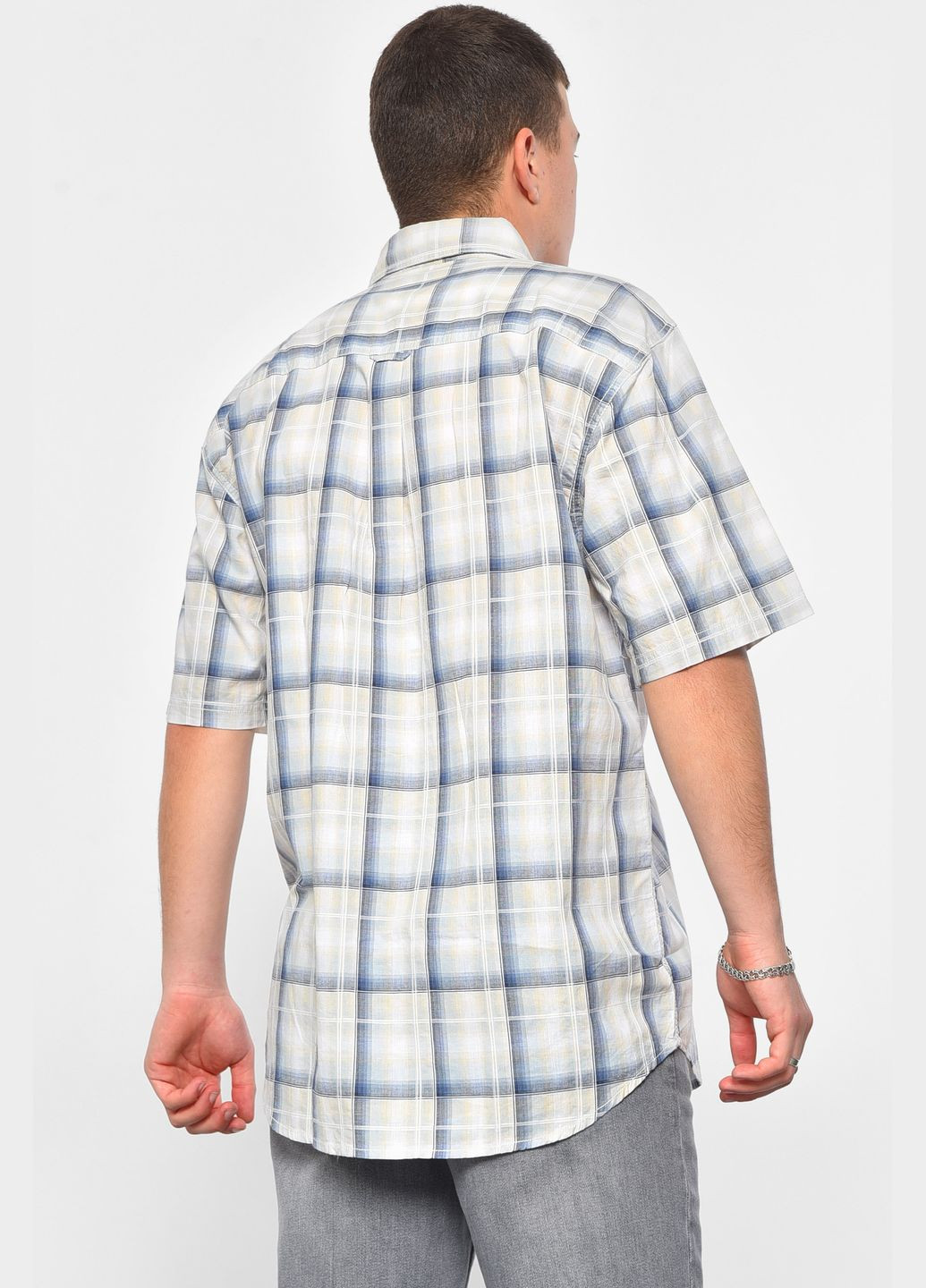 Сорочка чоловіча батальна бежевого кольору в клітинку Let's Shop (293765050)