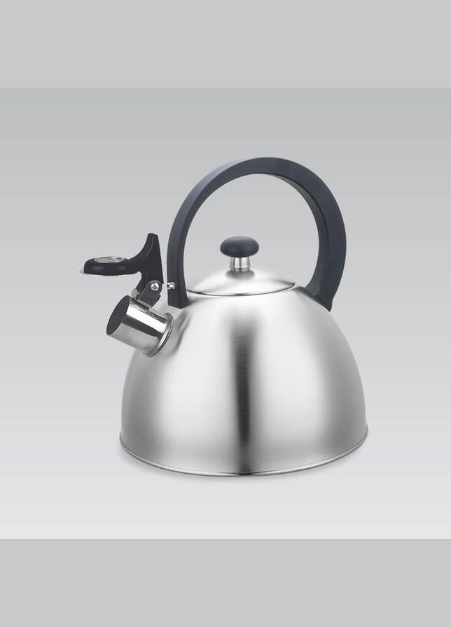 Чайник зі свистком для плити 2.5 л (MR-1302) Maestro (334712885)