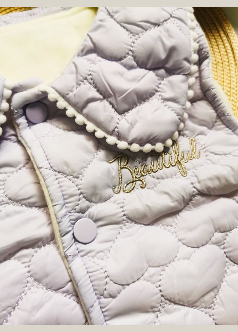 Комбинированная демисезонная стильная жилетка для девочки фиолет beautiful 10200, размер 100 No Brand