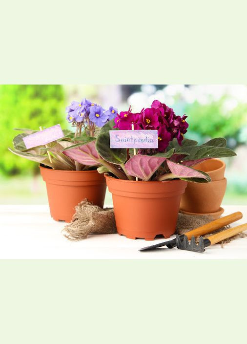 Грунт для Фіалок 2.5 л КВІТКА (307165479)