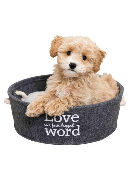 Лежак Lian для собак, з ручками, фетровий/плюшевий, 37 см (сірий) (*) Trixie (322859425)