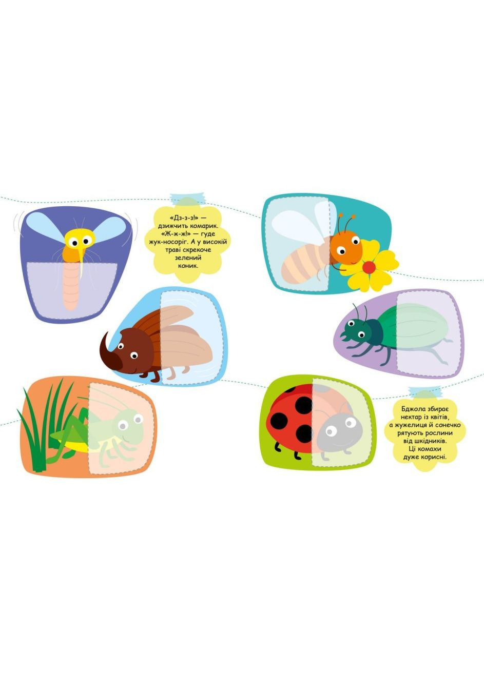 Книга Насекомые. Ищем половинки. Автор - Алена Пуляева ( ) РАНОК (338866210)