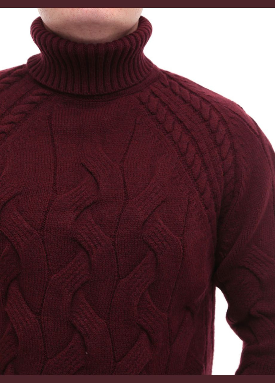 Бордовий зимовий светр чоловічий бордовий в'язаний зимовий з горлом джемпер Pulltonic Пряма