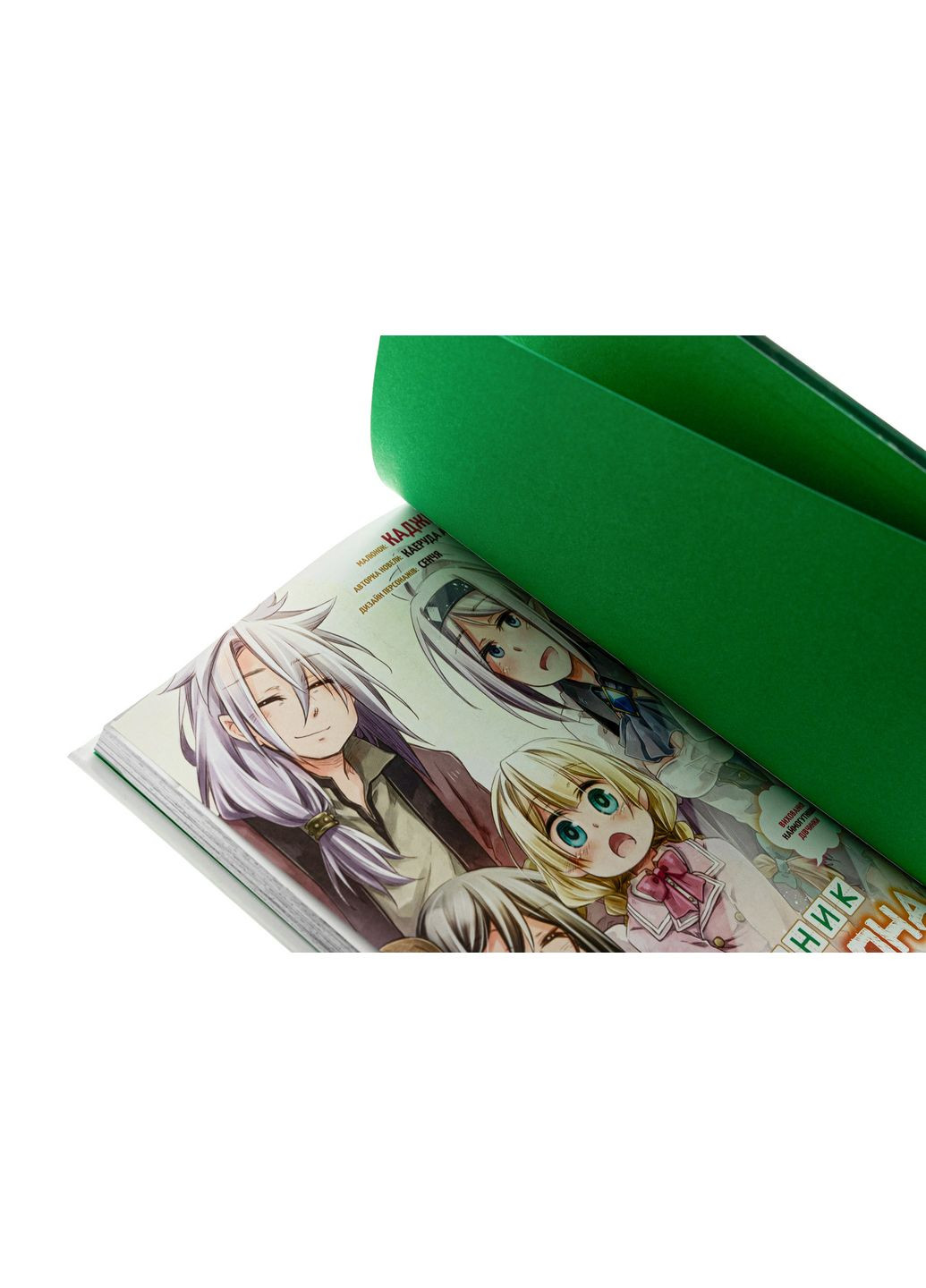 Книга Дневник папы-дракона: воспитание самой могущественной девочки. Том 2 / Каеруда Амеко Mimir Media (335209832)