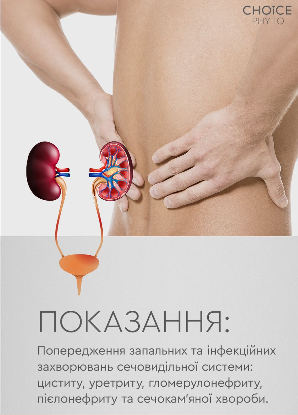 Санклін - для сечовидільної системи фітокомплекс PHYTO Чойс (30 капсул) CHOICE (332987520)