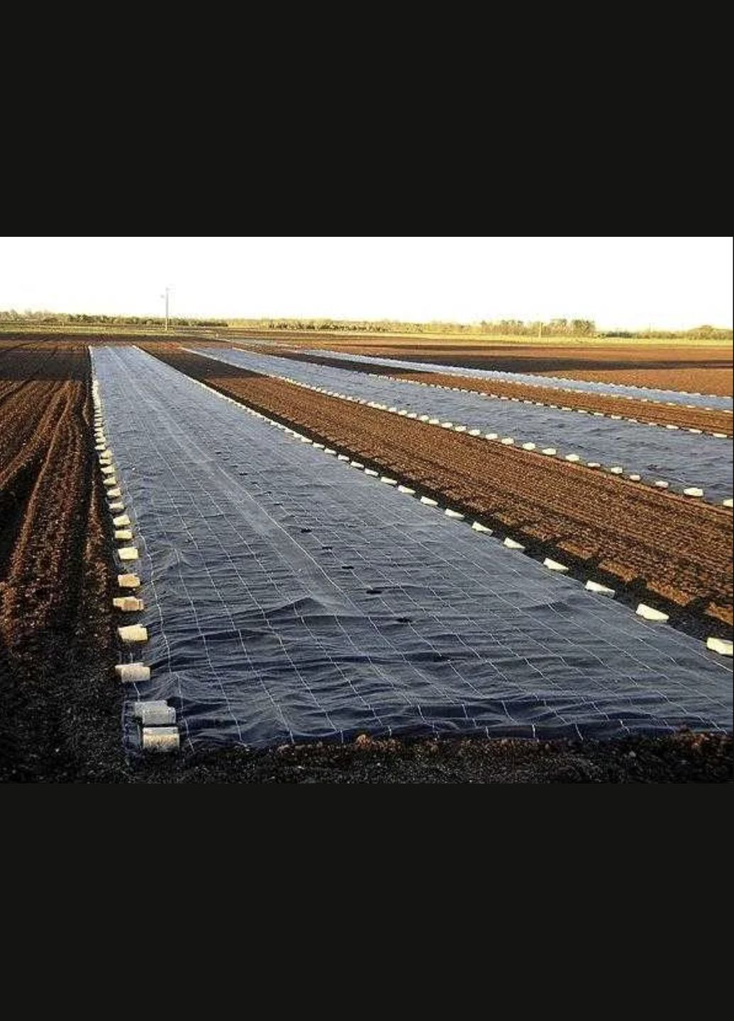 Геотекстиль П-130 (1,6*25м) - черный ///GARDEN FLORA (Польша) No Brand (336376760)