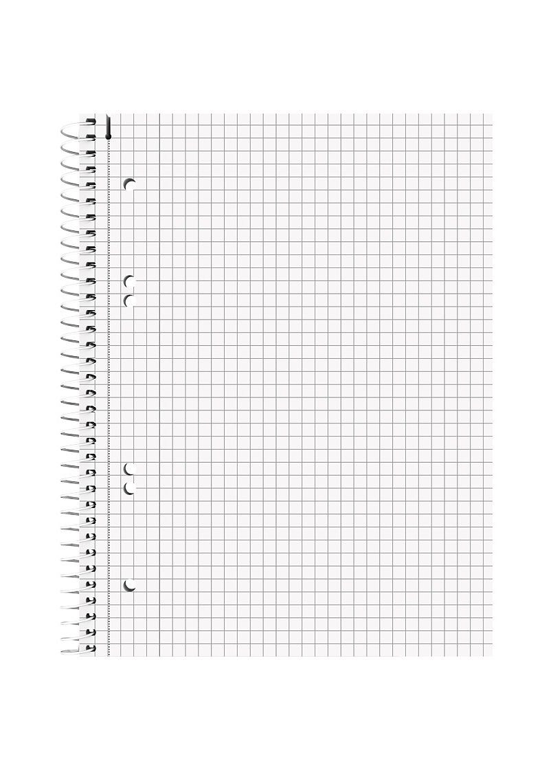 Блокнот А5 80 л. Premium клетка Brunnen (329899347)