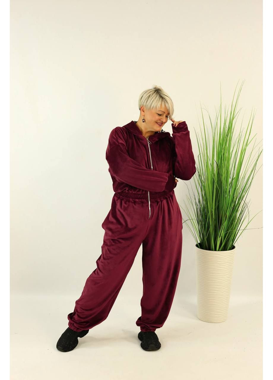 Комбінезон жіночий велюровий Style Point комбінезон-брюки однотонний бордовий повсякденний, кежуал велюр