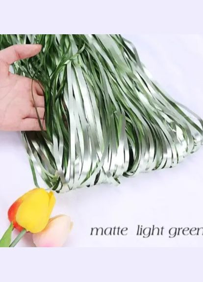 Дождик для фотозоны матовый 3 м на 1 м зеленый Jannet Дощик (316580268)