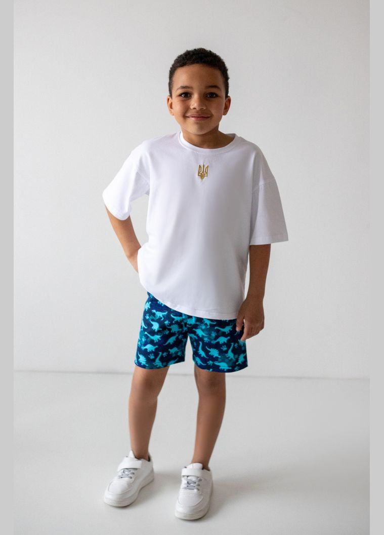 Шорты для мальчиков 03-2720-01М 104 см скейт Авекстекс (331622863)