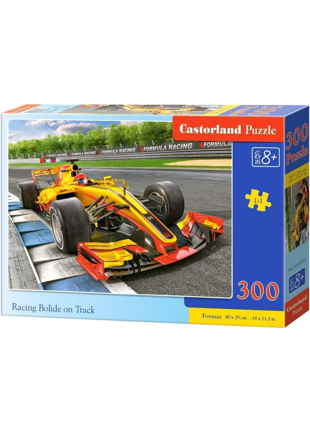 Пазл Castorland (369176981)