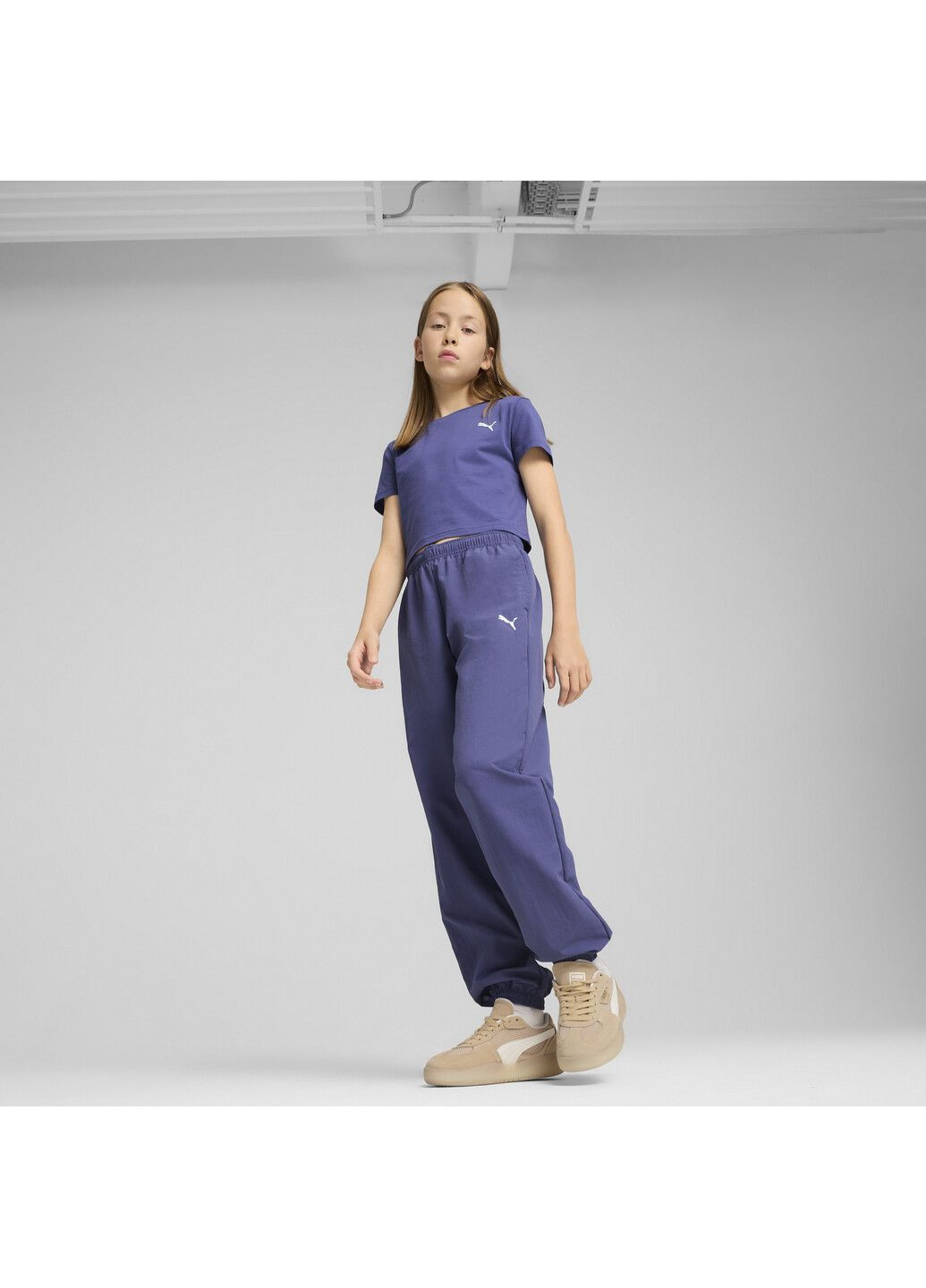 Синие спортивные демисезонные брюки Puma