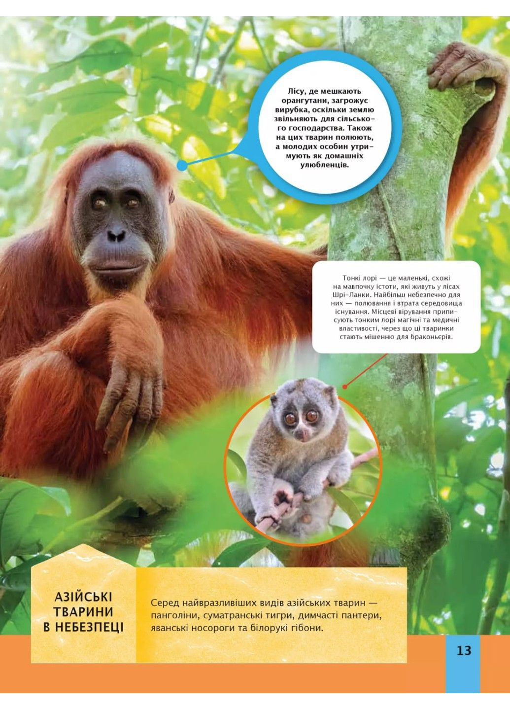 Дитяча енциклопедія довкілля Гелен Дваєр, Джилл Гамфрі, Алекс Вульф, Рейчел Тілсдейл Vivat (312018833)