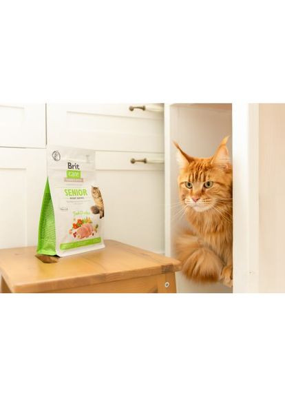 Сухой корм Cat GF Senior Weight Control для пожилых кошек с избыточным весом, курица, 400 г Brit Care (362703372)