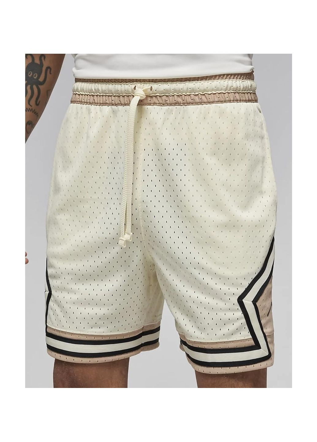 Шорты мужские Dri-Fit Sport (DX1487-113) Jordan (370780362)