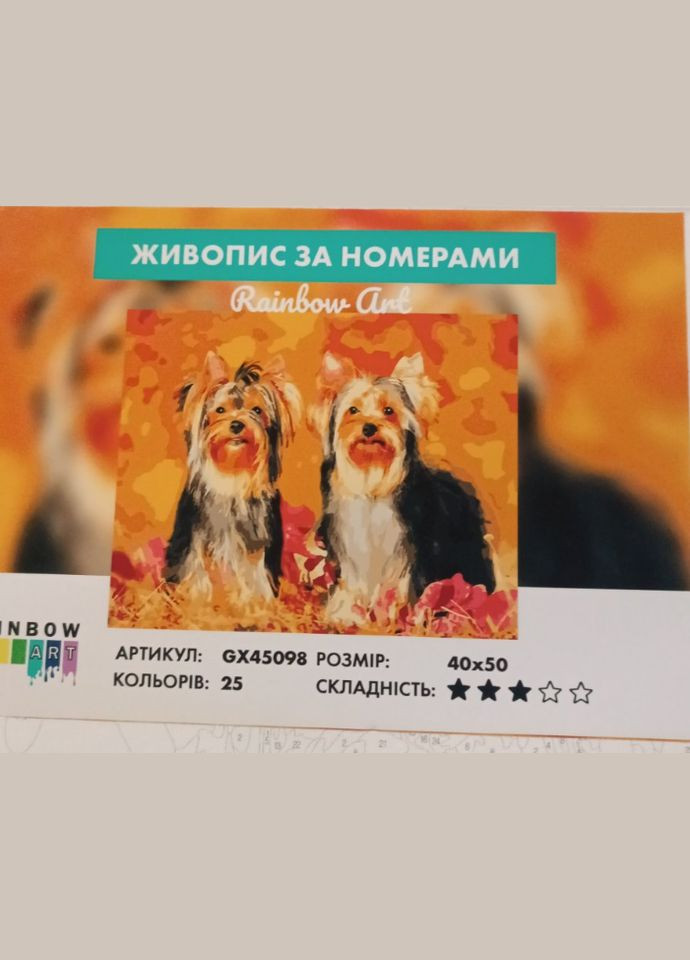 Собаки картины по номерам 40х50 Картины по цифрам на холсте Две йорки Картины по номерам GX45098 Rainbow Art (308989182)