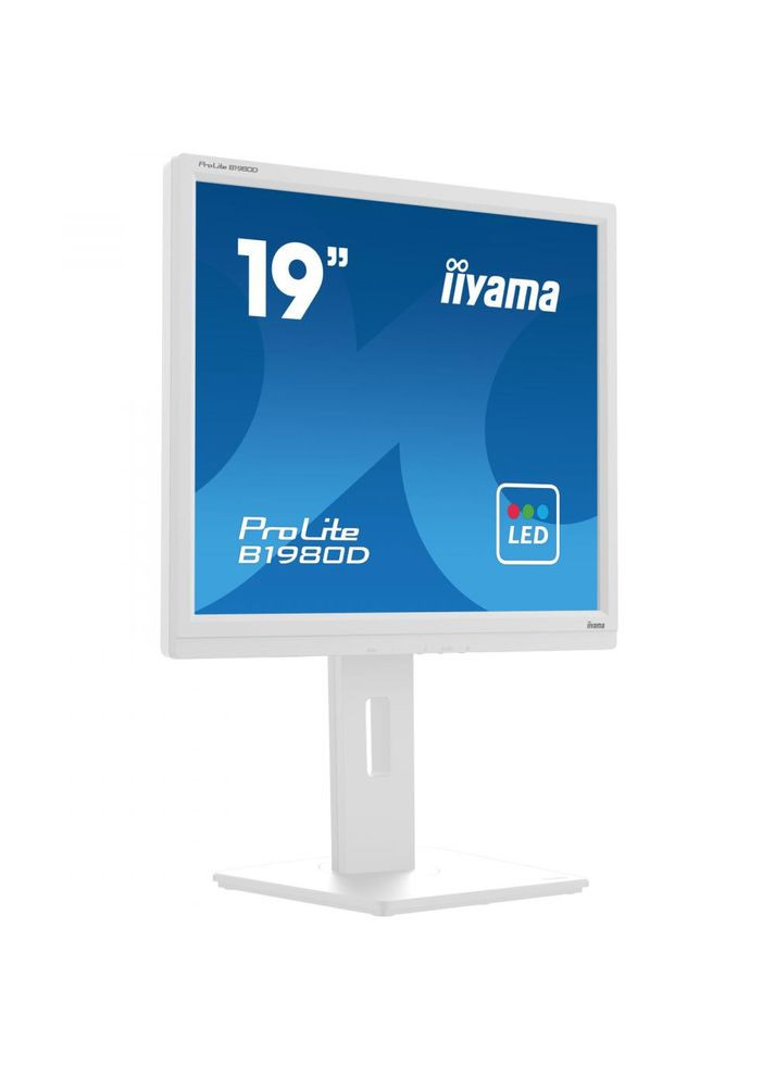 Монитор B1980DW5 Iiyama (314973865)