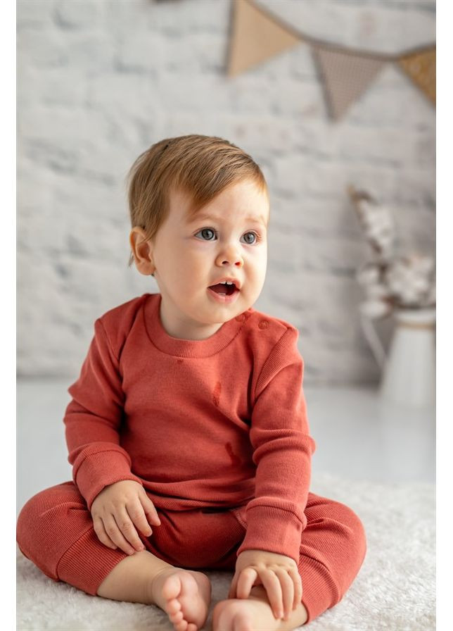 Терракотовый комплект для младенца кофточка и брюки из органического хлопка, цвет горчичный, возраст 0-3 месяца, рост 62 см MININIO