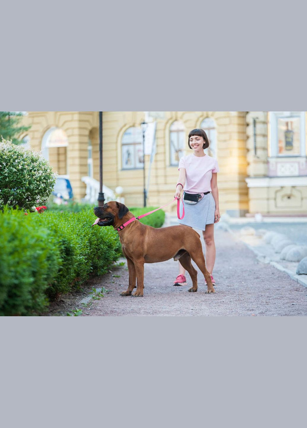 Поводок для собак водостойкий Waterproof, M, Ш 20 мм, Дл 122 см розовый WAUDOG (322125071)