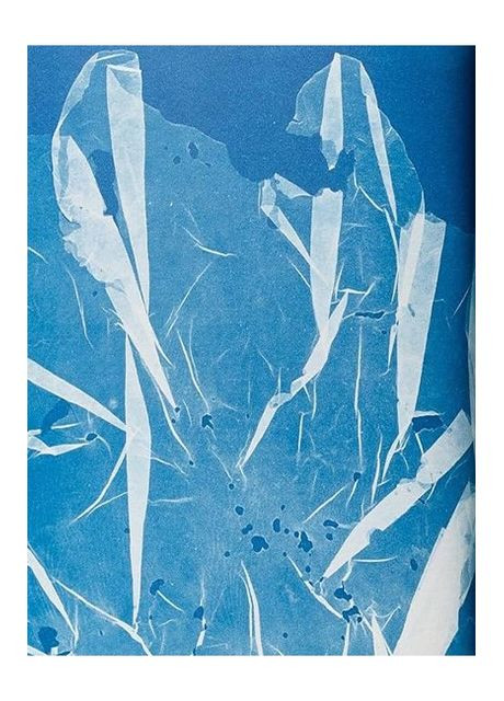Книга Anna Atkins. Cyanotypes (9783836596039) Taschen (364656052)
