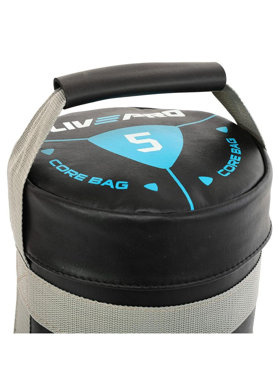 Мішок обважнювач для функціонального тренінгу Power Bag LP8120-5 5кг (PVC, вага 5кг, чорний-сірий) LiveUp (361436919)