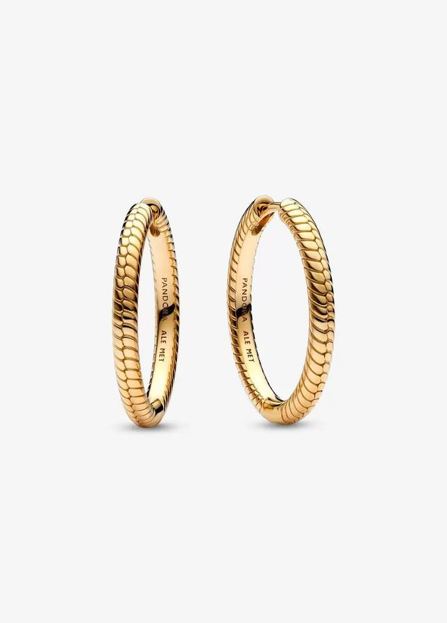 Срібні сережки Пандора No Brand (330768419)