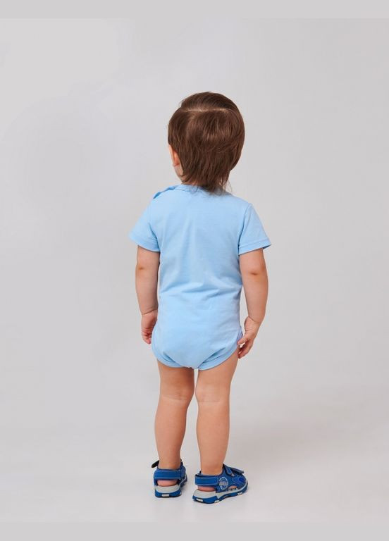 Детская боди -футболка | 68, 74, 80, 86 | 95% хлопок | Рисунок | Лето | Комфортно и стильно Голубой Smil (284116671)