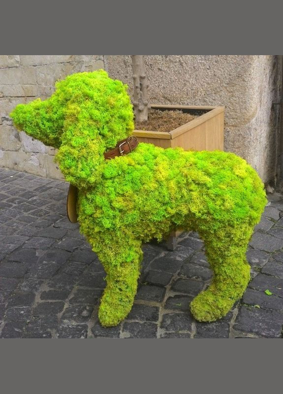 Стабілізований мох ягель Зелений весняний 250 грам Nordic moss (276401077)