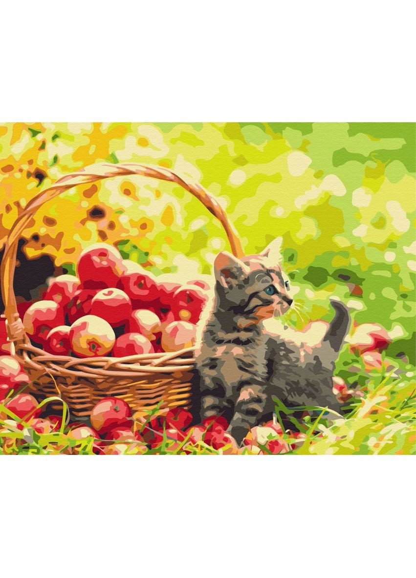 Картина по номерам "Яблочный котик" ★★★ Brushme (290251847)